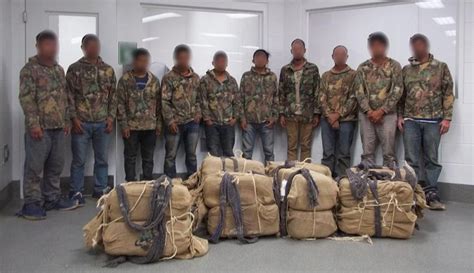 Mule (smuggling) .
